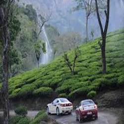 Ooty car rental, ooty taxi